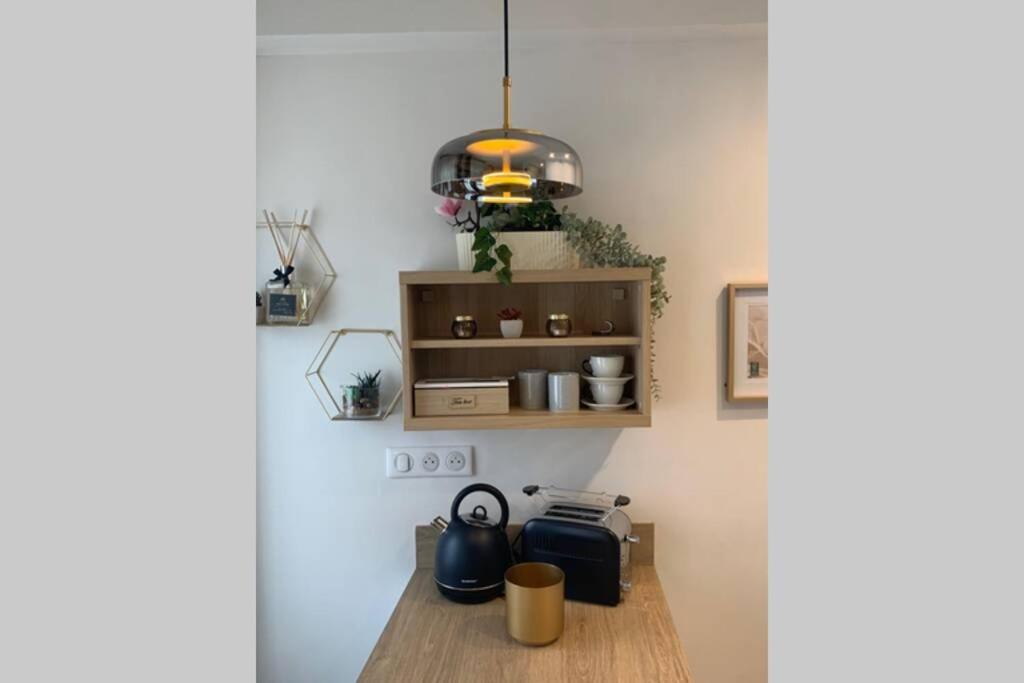 Joli Appartement Haut Standing En Hyper Centre ตูลูส ภายนอก รูปภาพ